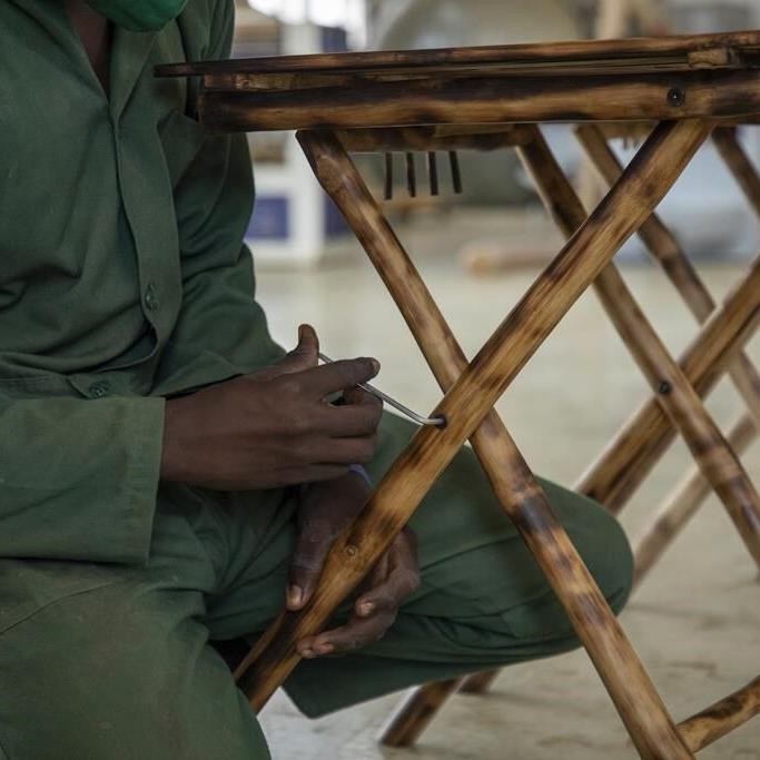 In Uganda, bamboo has government's backing as a crop with real growth potential